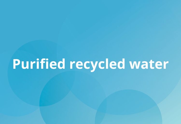 Purified recycled water